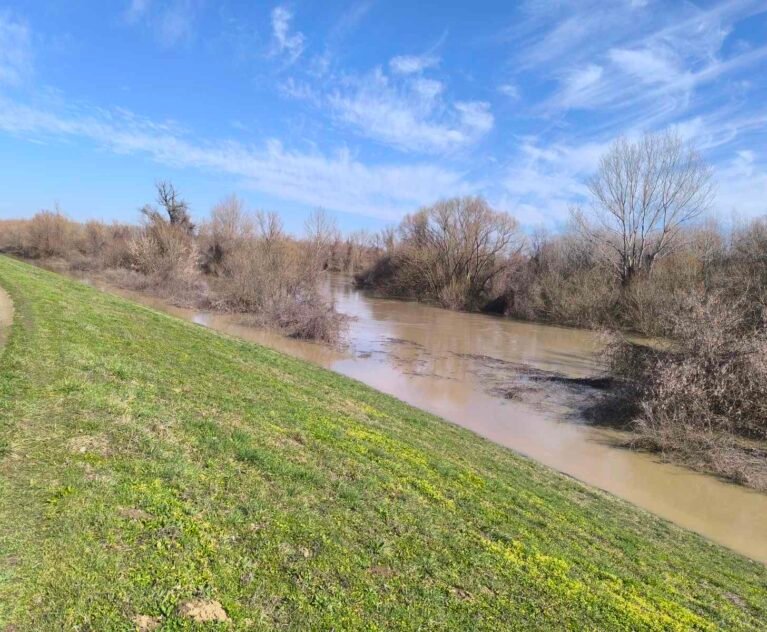 Nema opasnosti od poplava - Vodostaji Tamiša i Tise u stagnaciji